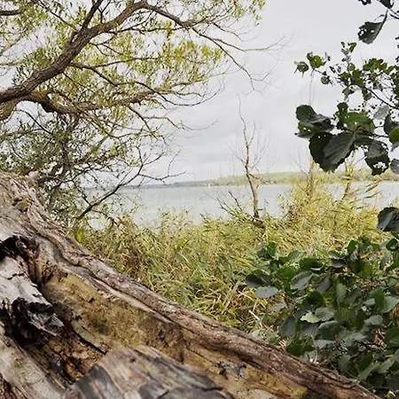 Seeschwalbe Classic 285 Mirow